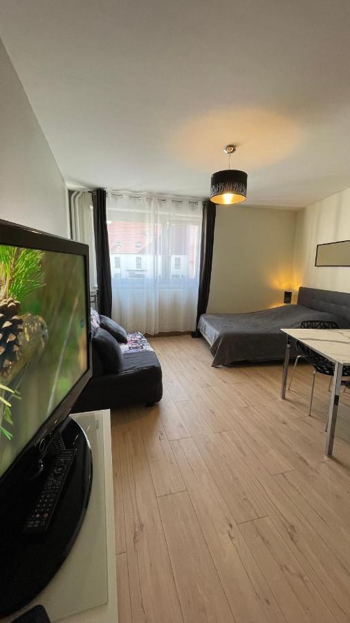 שטרסבורג Grand Studio Proche Du Centre Ville מראה חיצוני תמונה